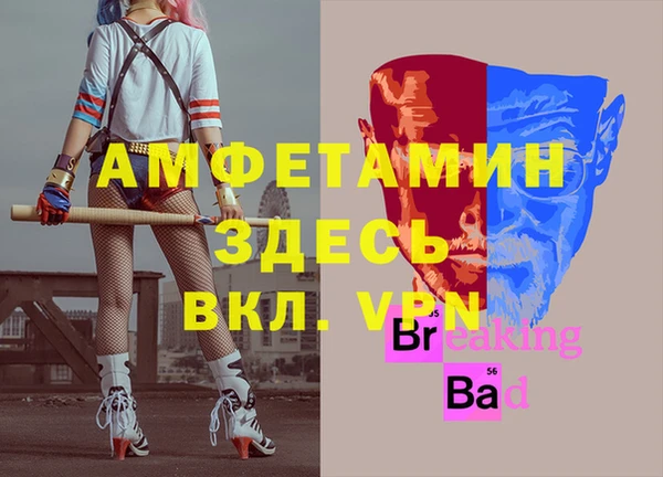 мдпв Пересвет