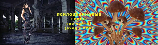 прущие крисы Нягань