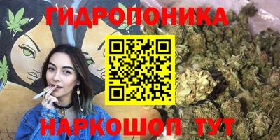 марихуана Абакан