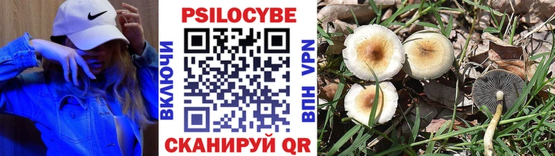 Псилоцибиновые грибы мухоморы  закладка  Лыткарино 