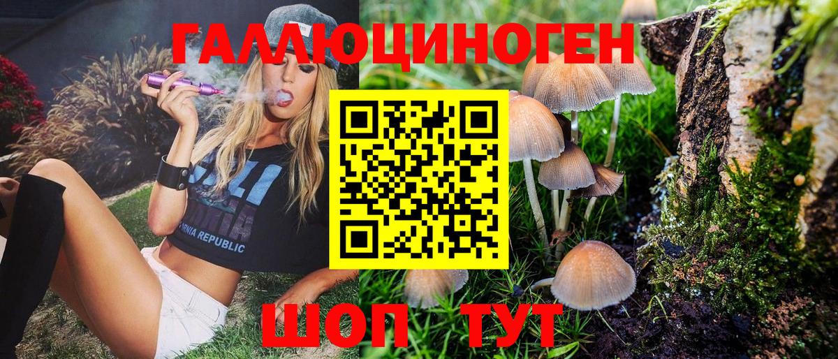 Галлюциногенные грибы MAGIC MUSHROOMS  Вход с VPN  Галлюциногенные грибы Psilocybe  Лыткарино 