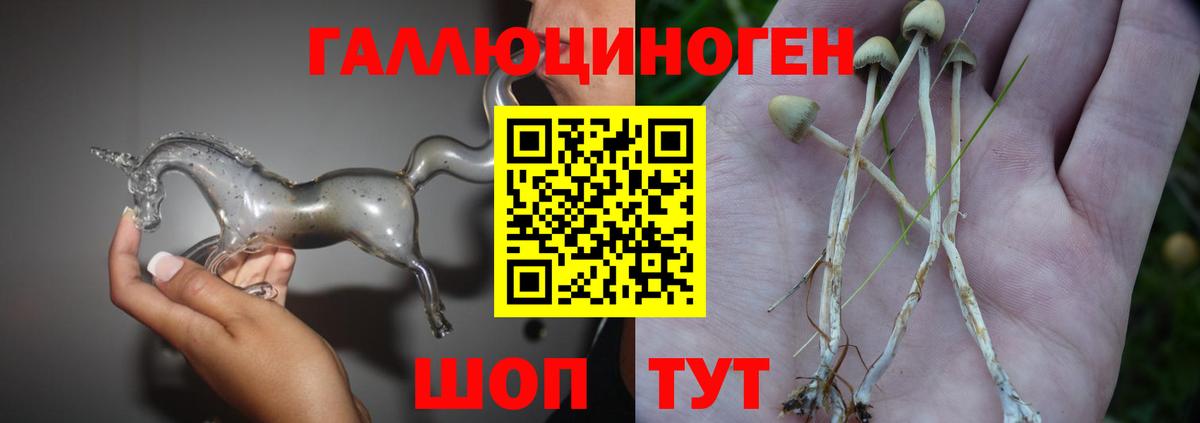 Галлюциногенные грибы Psilocybine cubensis Лыткарино